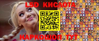прущие крисы Новодвинск